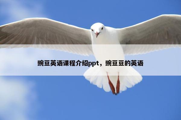 豌豆英语课程介绍ppt，豌豆豆的英语