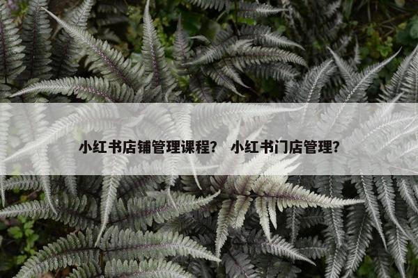 小红书店铺管理课程？ 小红书门店管理？