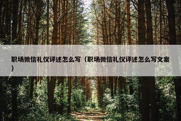 职场微信礼仪评述怎么写（职场微信礼仪评述怎么写文案）