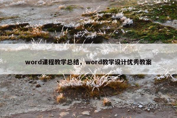 word课程教学总结，word教学设计优秀教案