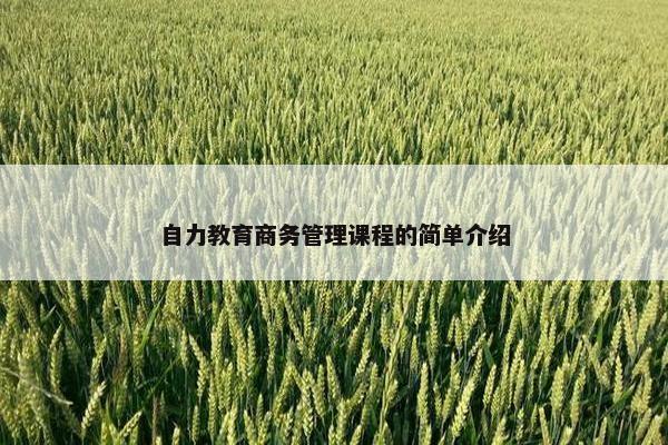 自力教育商务管理课程的简单介绍