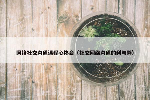 网络社交沟通课程心体会（社交网络沟通的利与弊）