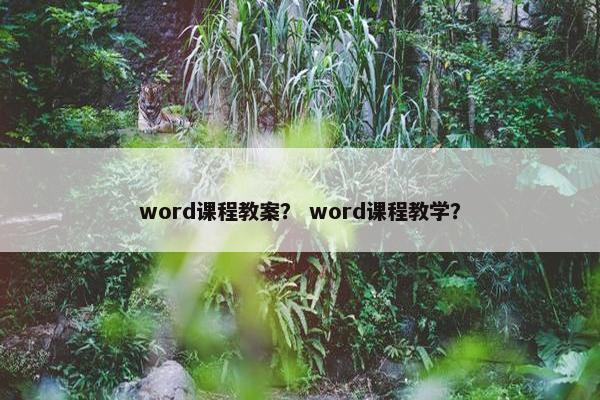 word课程教案？ word课程教学？