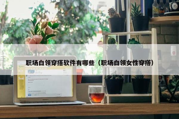 职场白领穿搭软件有哪些（职场白领女性穿搭）