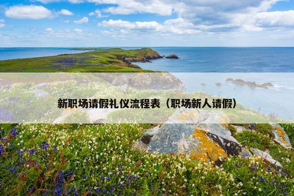 新职场请假礼仪流程表（职场新人请假）