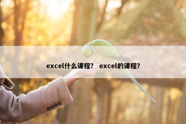 excel什么课程？ excel的课程？
