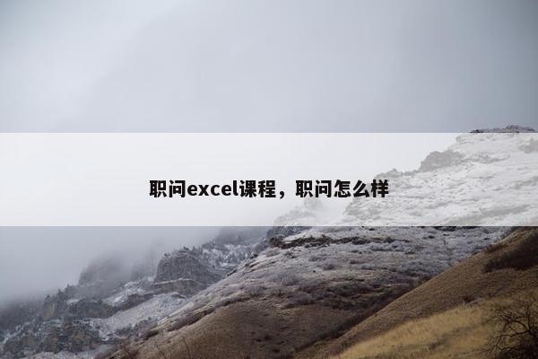 职问excel课程，职问怎么样