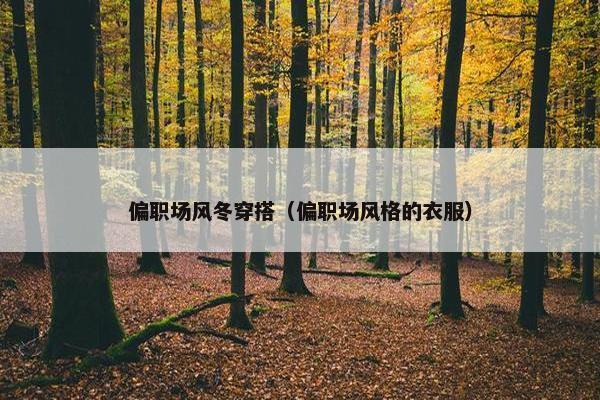 偏职场风冬穿搭（偏职场风格的衣服）
