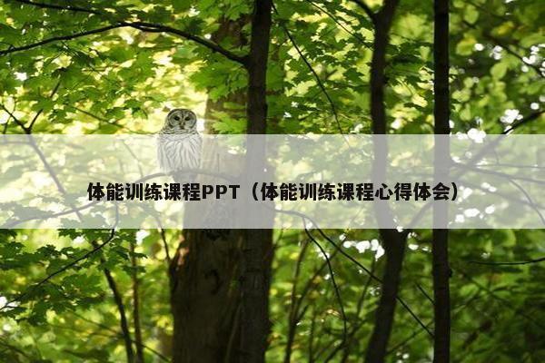 体能训练课程PPT（体能训练课程心得体会）