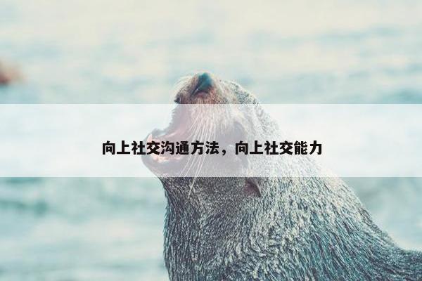 向上社交沟通方法，向上社交能力