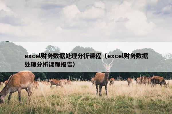 excel财务数据处理分析课程（excel财务数据处理分析课程报告）