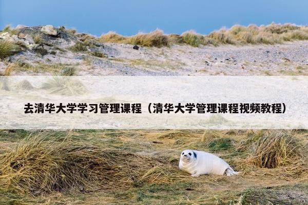 去清华大学学习管理课程（清华大学管理课程视频教程）