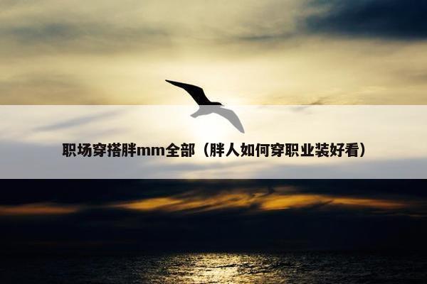 职场穿搭胖mm全部（胖人如何穿职业装好看）
