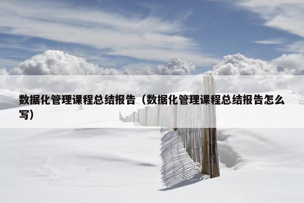 数据化管理课程总结报告（数据化管理课程总结报告怎么写）