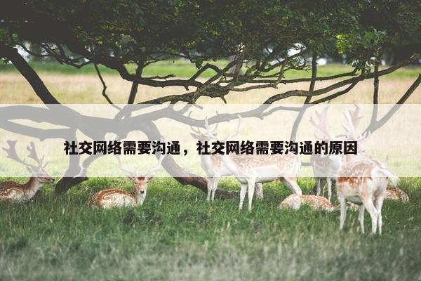社交网络需要沟通，社交网络需要沟通的原因
