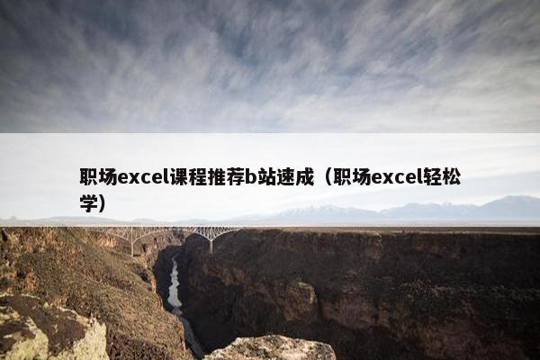职场excel课程推荐b站速成（职场excel轻松学）