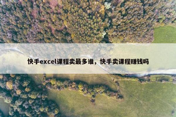 快手excel课程卖最多谁，快手卖课程赚钱吗