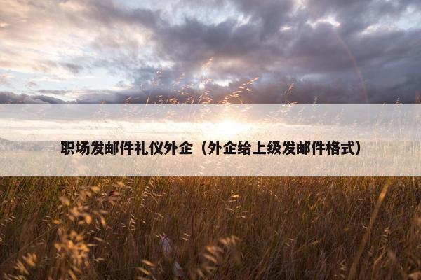 职场发邮件礼仪外企（外企给上级发邮件格式）