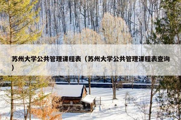 苏州大学公共管理课程表（苏州大学公共管理课程表查询）