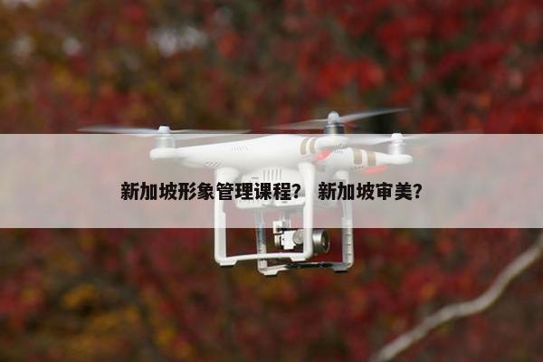新加坡形象管理课程？ 新加坡审美？