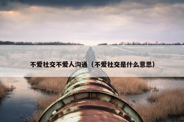 不爱社交不爱人沟通（不爱社交是什么意思）
