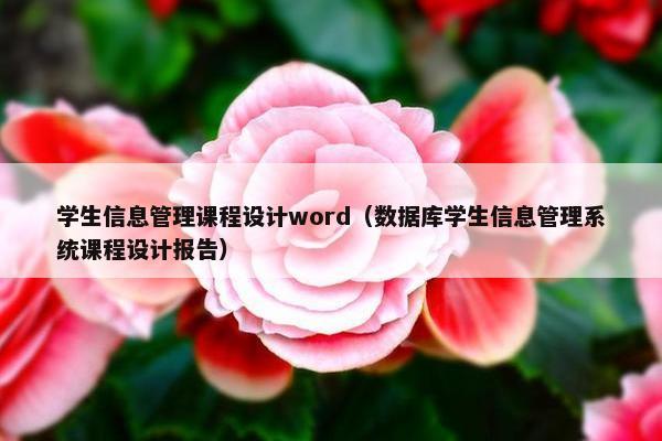 学生信息管理课程设计word（数据库学生信息管理系统课程设计报告）