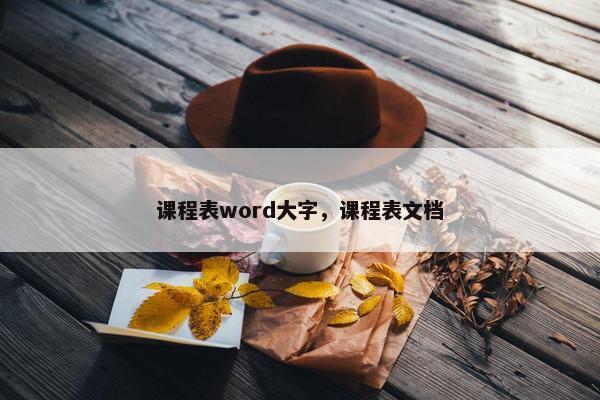 课程表word大字，课程表文档