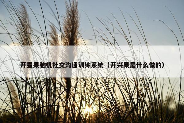 开星果脑机社交沟通训练系统（开兴果是什么做的）