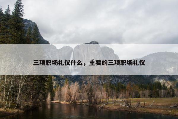 三项职场礼仪什么，重要的三项职场礼仪
