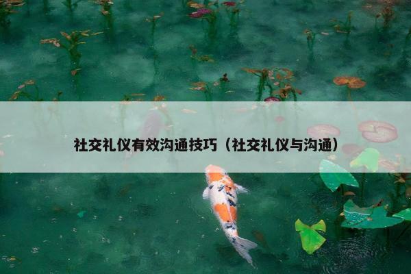 社交礼仪有效沟通技巧（社交礼仪与沟通）