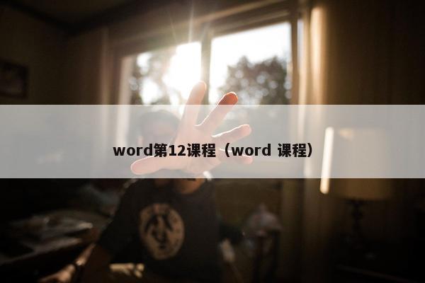 word第12课程（word 课程）