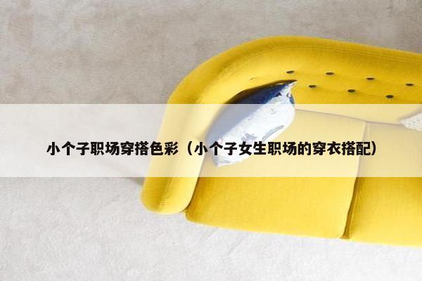 小个子职场穿搭色彩（小个子女生职场的穿衣搭配）