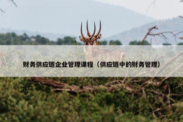 财务供应链企业管理课程（供应链中的财务管理）