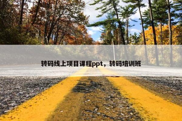 转码线上项目课程ppt，转码培训班