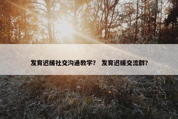发育迟缓社交沟通教学？ 发育迟缓交流群？