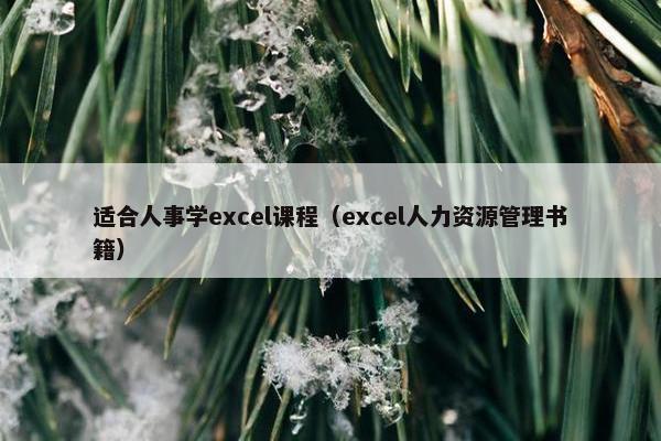 适合人事学excel课程（excel人力资源管理书籍）