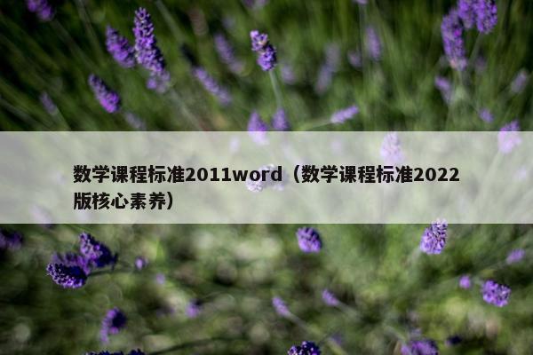 数学课程标准2011word（数学课程标准2022版核心素养）