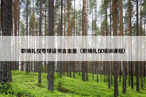 职场礼仪专项证书含金量（职场礼仪培训课程）