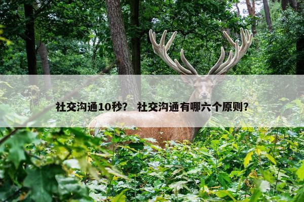社交沟通10秒？ 社交沟通有哪六个原则？