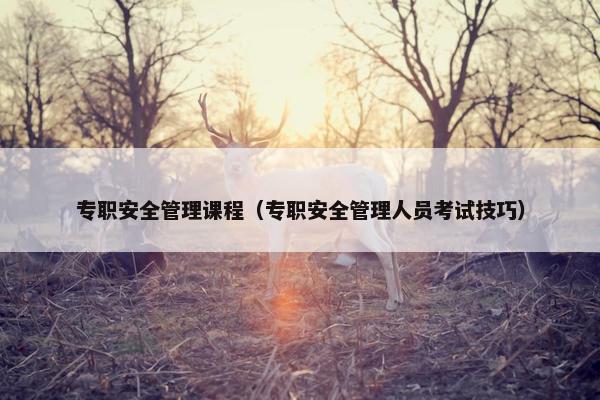 专职安全管理课程（专职安全管理人员考试技巧）
