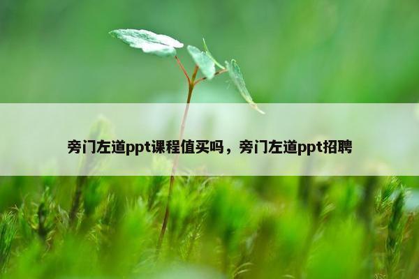 旁门左道ppt课程值买吗，旁门左道ppt招聘