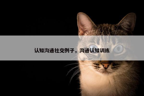 认知沟通社交例子，沟通认知训练