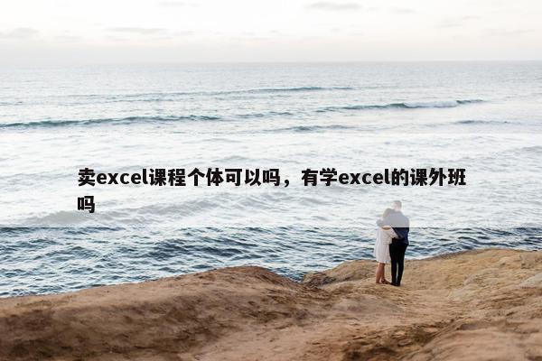 卖excel课程个体可以吗，有学excel的课外班吗