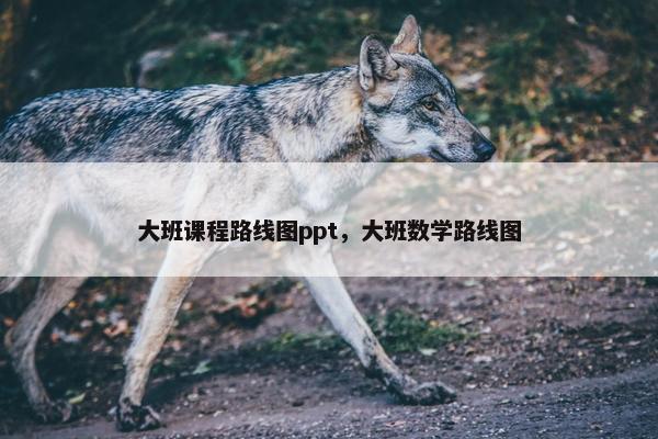 大班课程路线图ppt，大班数学路线图