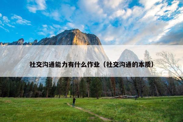 社交沟通能力有什么作业（社交沟通的本质）