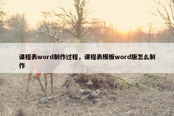 课程表word制作过程，课程表模板word版怎么制作