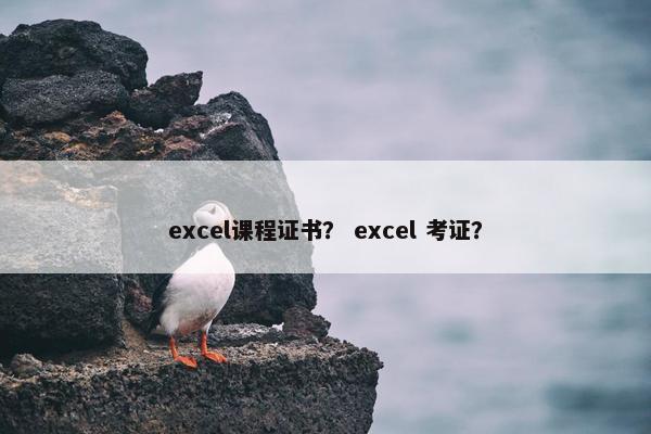 excel课程证书？ excel 考证？