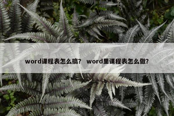 word课程表怎么搞？ word里课程表怎么做？