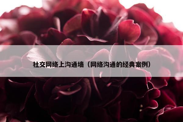 社交网络上沟通墙（网络沟通的经典案例）