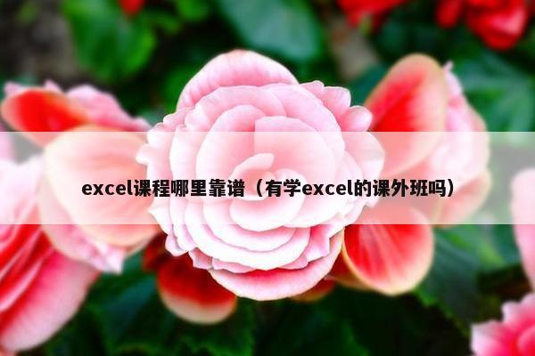 excel课程哪里靠谱（有学excel的课外班吗）